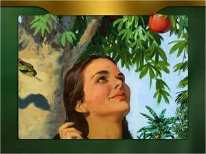 Why do we have to die?