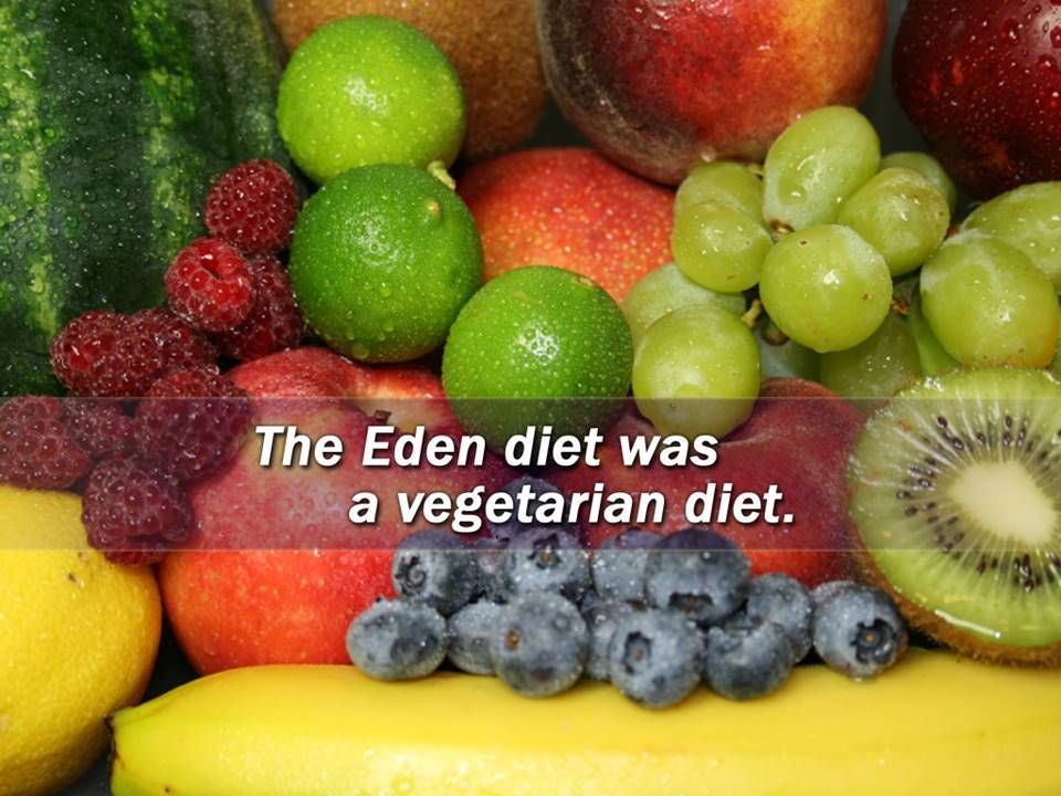 Eden and Man's Original Diet