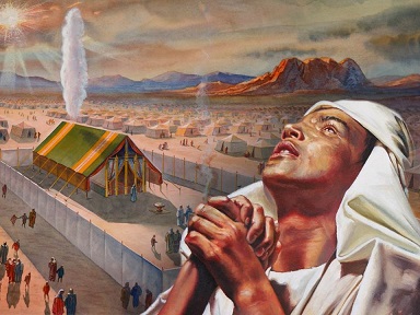 The Feasts of the Sanctuary