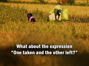 ' the one shall be taken, and the other left': An Exposition on Christ's Words in Matthew 24:40-41